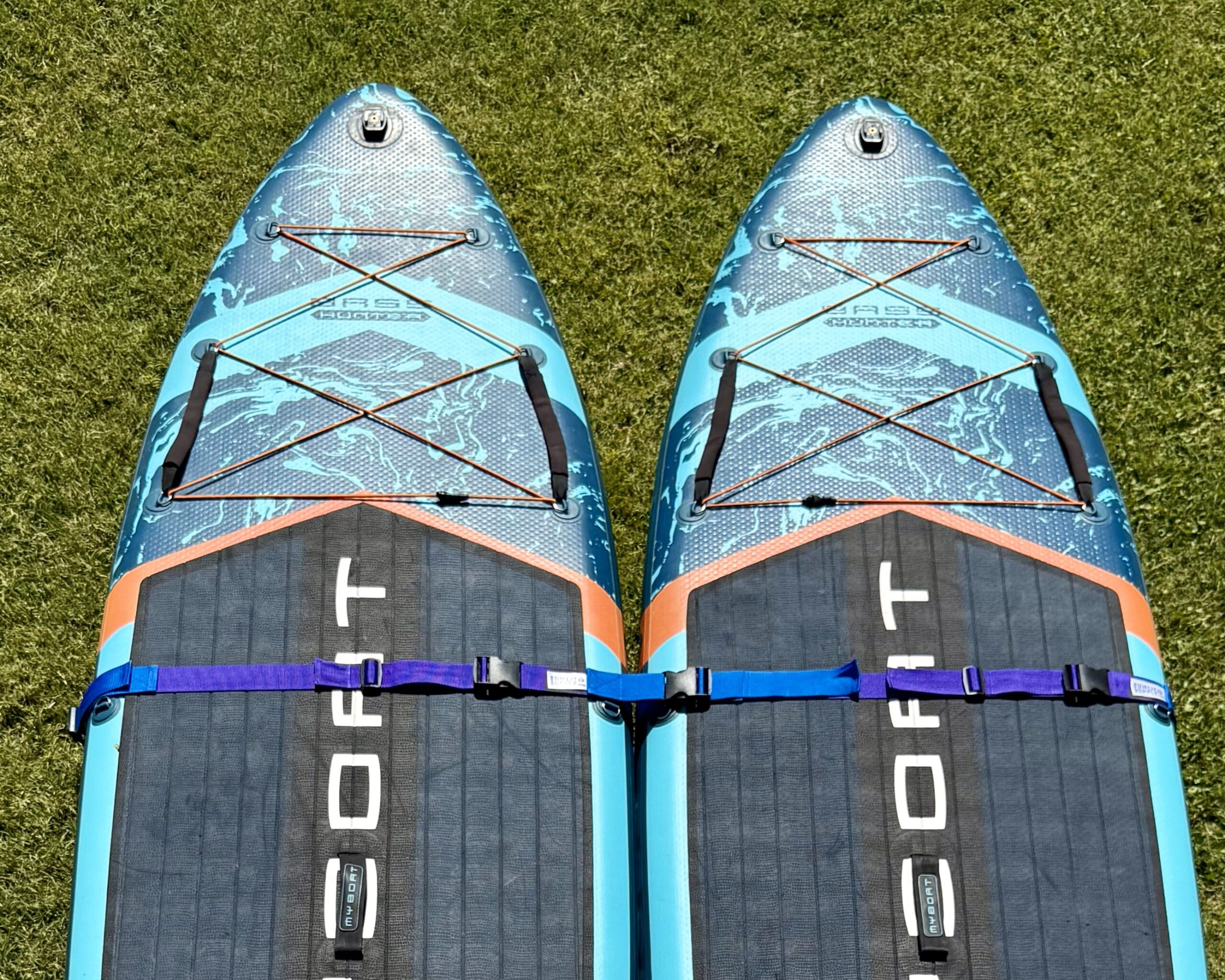 SteadyLink_Electic-Berry_ConnectedCropped-scaled