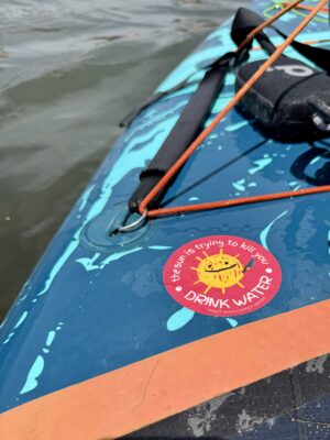 “The Sun is Trying to Kill You” Sticker